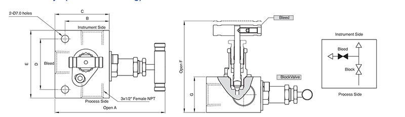 SM2V 2-Valve Manifold Valves - 2