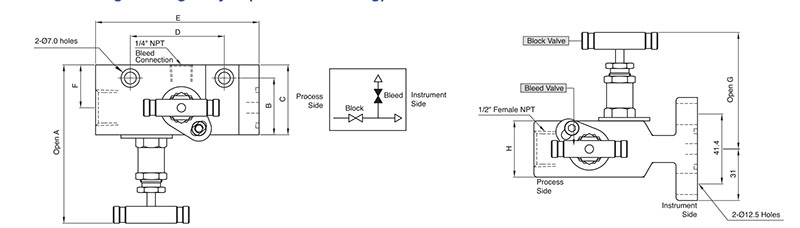 SM2V 2-Valve Manifold Valves - 3