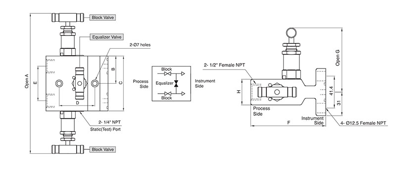 SM3V 3-Valve Manifold Valves - 3