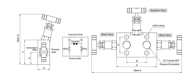 SM3V 3-Valve Manifold Valves - 5