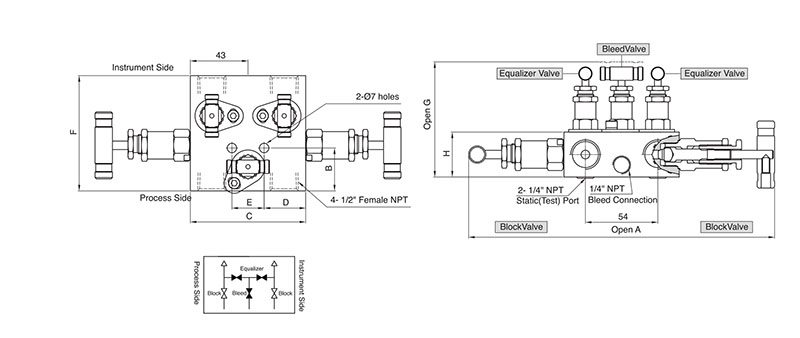 SM5V 5-Valve Manifold Valves - 2